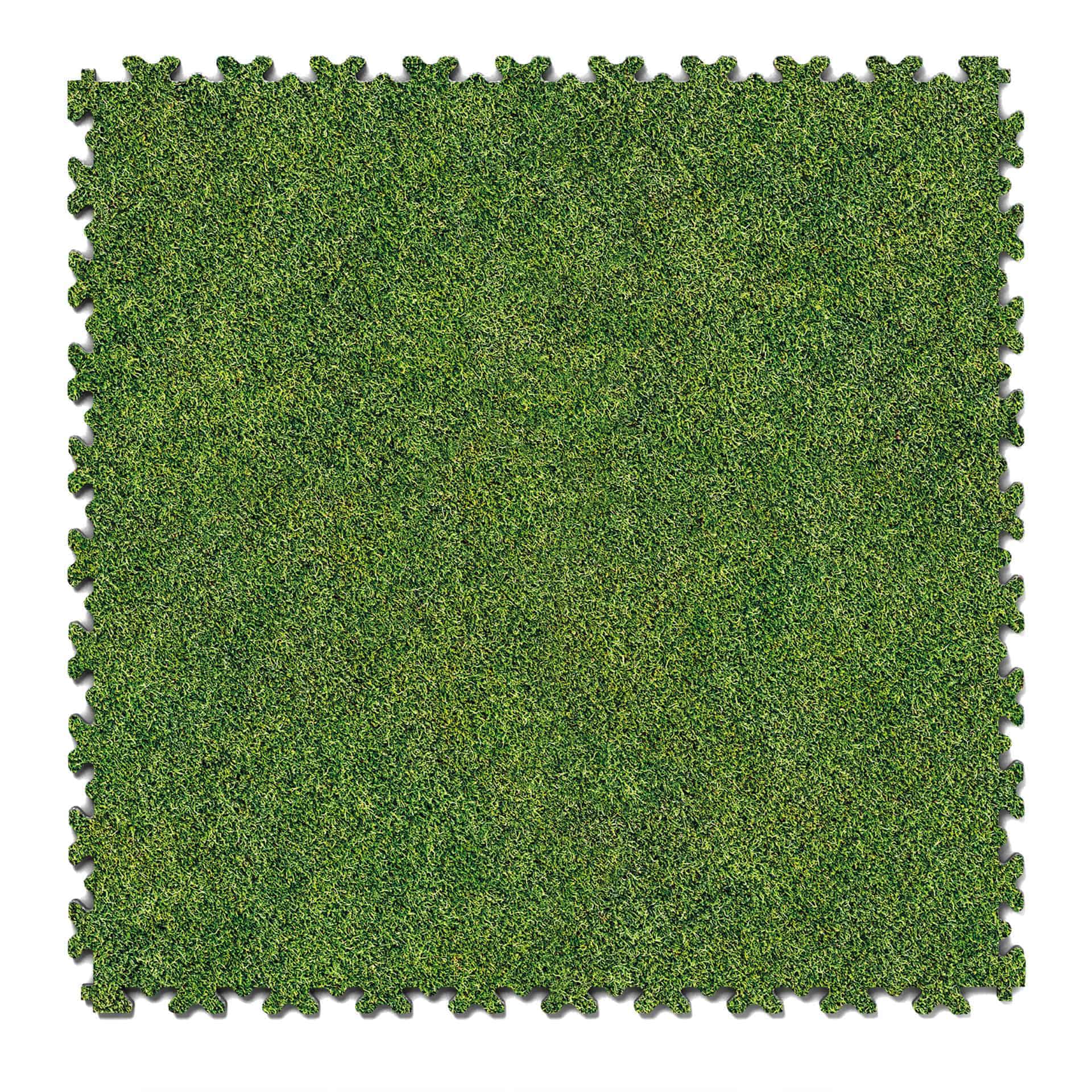 Druck Grass